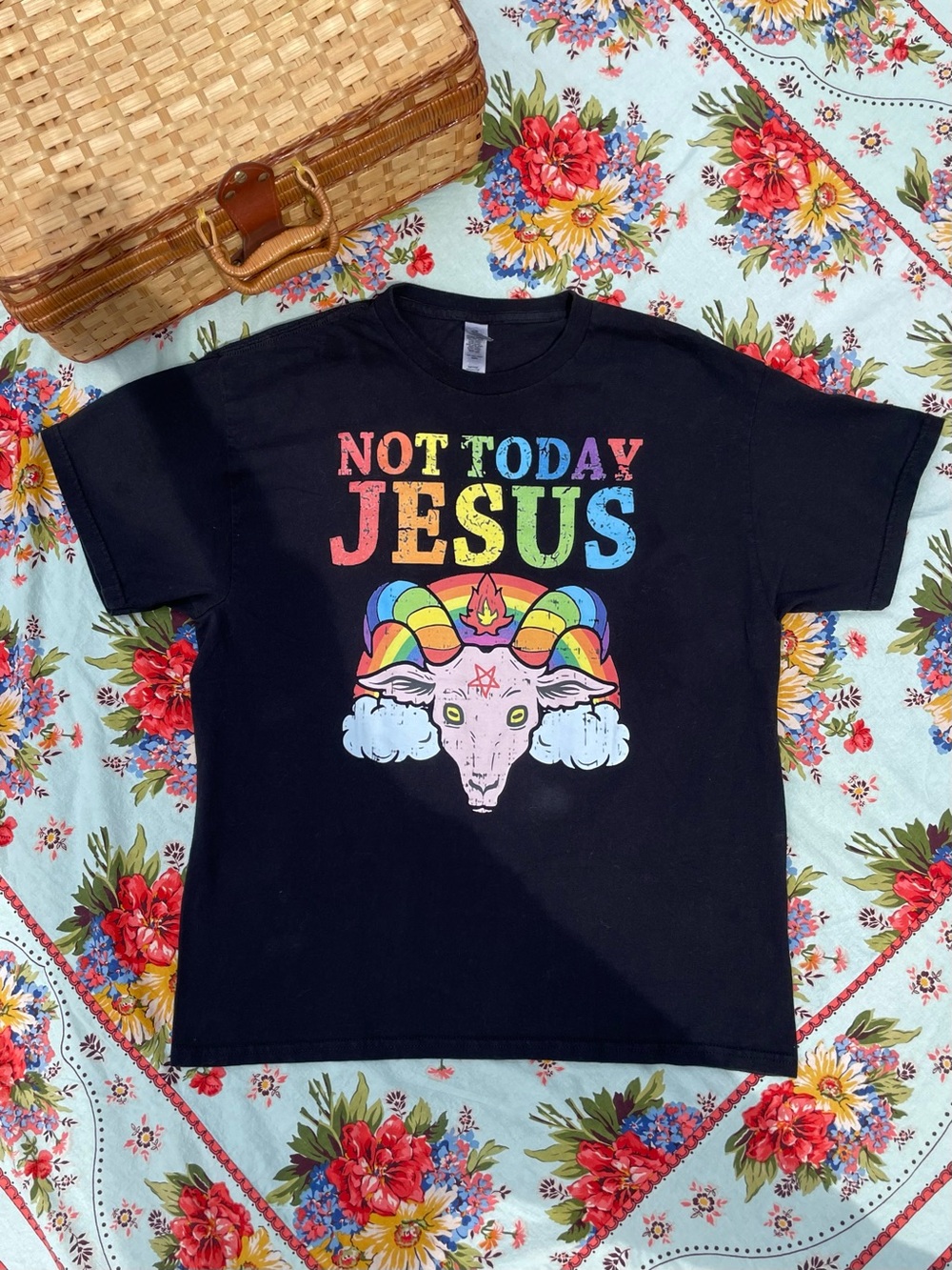 Not Today Jesus Rainbow Ram Goat Pride Graphic Tee Shirt - Youth Large Men Women